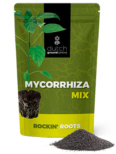 Mycorrhiza